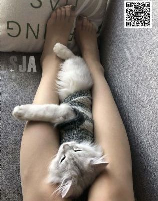日韩97_BD国语在线观看高清